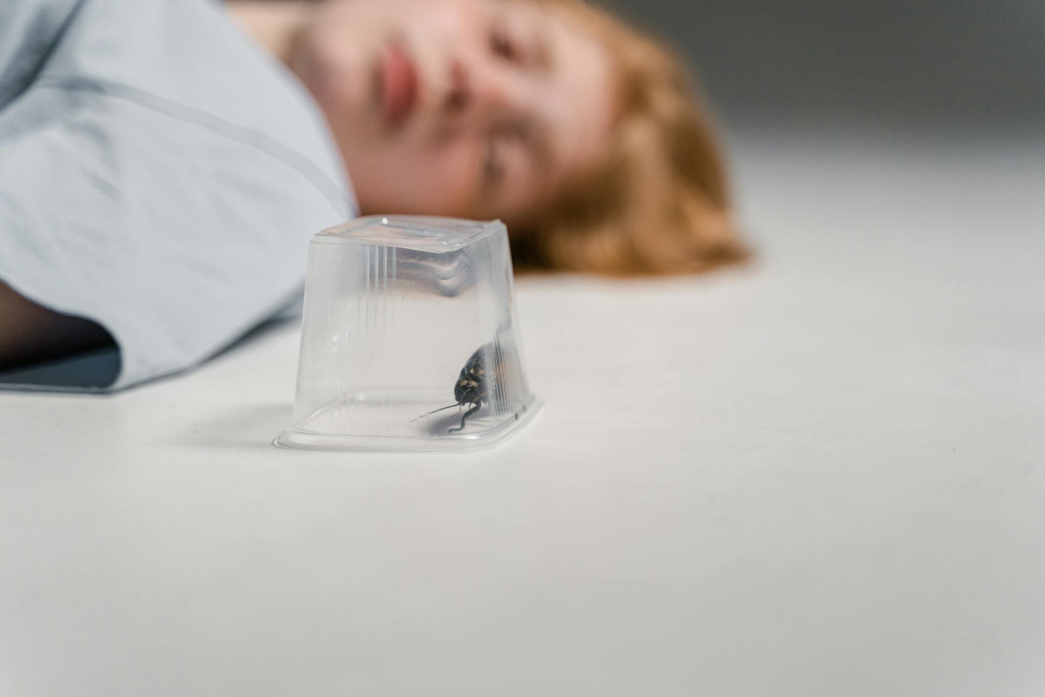 A madagascar hissing cockroach trapped under a plastic cup with a blurred human figure in the background.